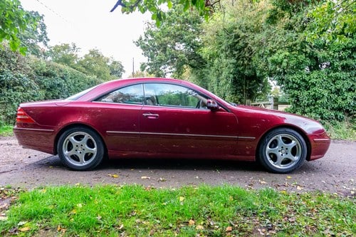 2001 Mercedes-Benz CL500 C215 For Sale (picture 11 of 188)