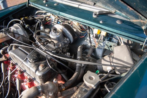 1993 Rover Mini Italian Job Special Edition In vendita (immagine 85 di 126)