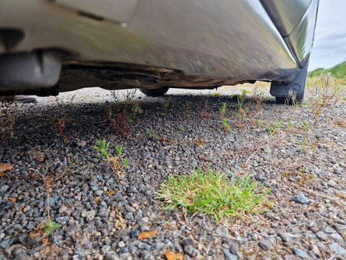 1990 Mercedes Benz 300SE (W126) For Sale (picture 222 of 268)