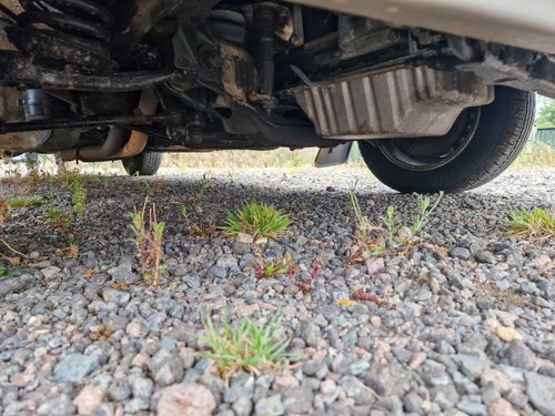 1990 Mercedes Benz 300SE (W126) For Sale (picture 230 of 268)