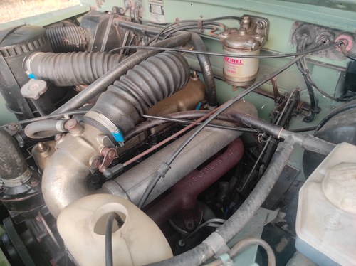 1983 Land Rover Series III 88" zum Verkauf (Bild 184 von 207)