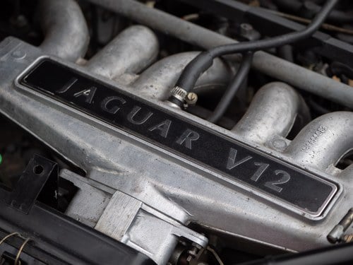 1992 Jaguar XJS V12 Coupe For Sale (picture 225 of 340)