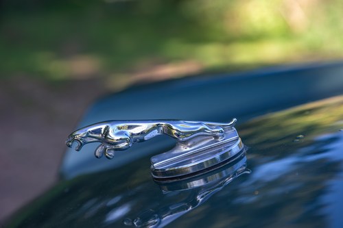 1984 Jaguar XJ-SC 3.6 Manual En venta (imagen 107 de 202)