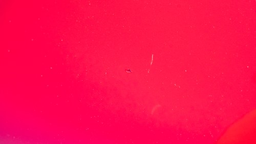 2003 Alfa Romeo Spider Spider Twins-Spark Lusso 916 En venta (imagen 113 de 162)