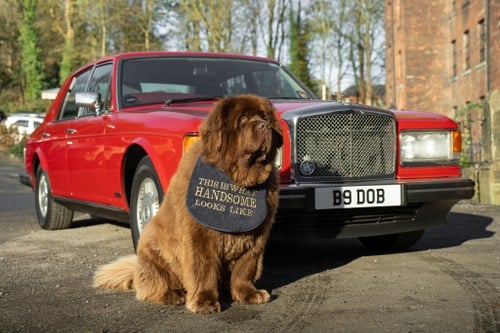 1988 Bentley Eight En venta (imagen 9 de 156)