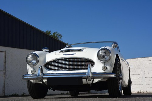 AUSTIN HEALEY 100 BN6 - 1959 Kaufen Bei