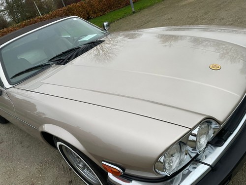 1990 Jaguar XJS Cabriolet V12 'Classic Collection Edition' Te koop (foto 41 van 60)