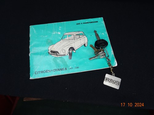 1981 Citroën Dyane 6 In vendita (immagine 99 di 100)