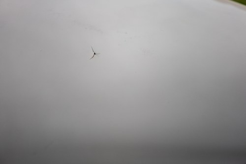 1966 Ford Lotus Cortina Mk1 For Sale (picture 111 of 251)