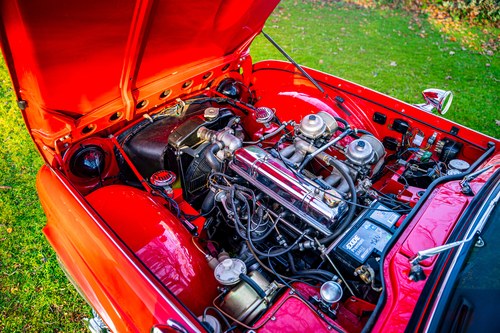 1964 Triumph TR4 zum Verkauf (Bild 96 von 136)