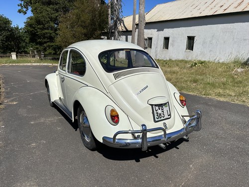 1967 Volkswagen Beetle 1300 Deluxe In vendita (immagine 15 di 77)