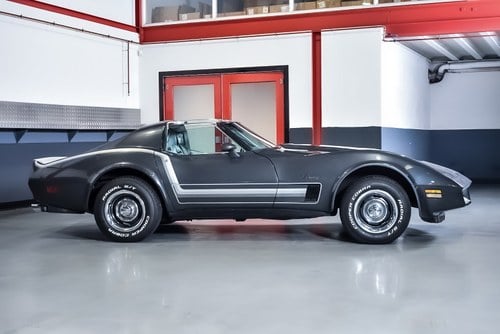 1975 Chevrolet Corvette C3 Stingray Targa 350CI V8 In vendita (immagine 6 di 100)