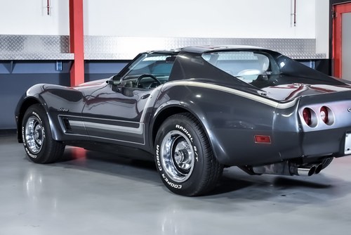 1975 Chevrolet Corvette C3 Stingray Targa 350CI V8 In vendita (immagine 73 di 100)