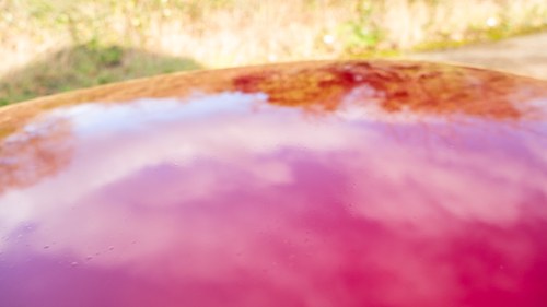 1967 MGB GT Oselli For Sale (picture 96 of 204)