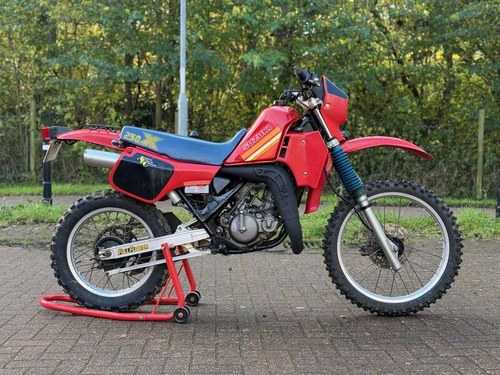 1987 Suzuki TS250X 246cc In vendita all'asta