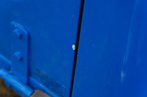 1960 Morris Minor 1000 Pick Up till salu (bild 218 av 308)