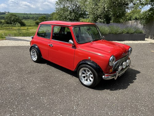 1989 Mini 30 Custom In vendita (immagine 25 di 383)
