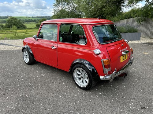 1989 Mini 30 Custom In vendita (immagine 29 di 383)