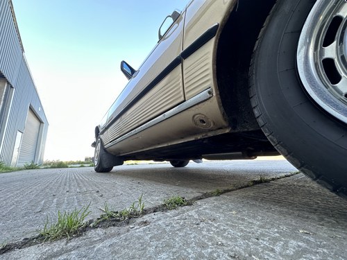 1981 Mercedes Benz 280SL (R107) En venta (imagen 131 de 150)