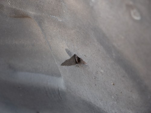 1995 Bentley Brooklands LPT For Sale (picture 275 of 350)