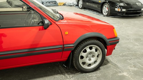 1989 Peugeot 205 GTI 1.9 In vendita (immagine 77 di 148)