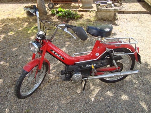 PUCH Maxi - 1978 Kaufen Bei