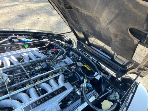 1992 Jaguar XJS Convertible V12 In vendita (immagine 65 di 77)