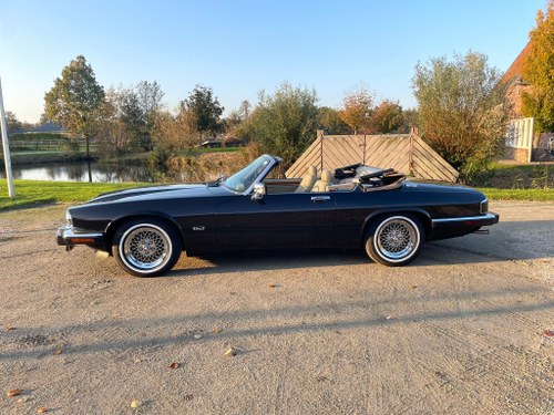 1992 Jaguar XJS Convertible V12 In vendita (immagine 16 di 77)