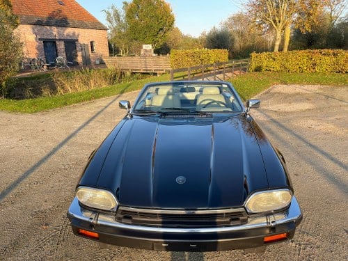 1992 Jaguar XJS Convertible V12 In vendita (immagine 60 di 77)