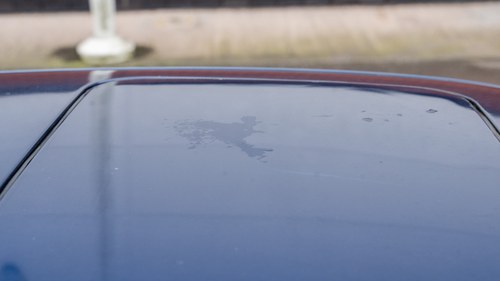 1991 BMW 850i Auto (E31) For Sale (picture 111 of 182)