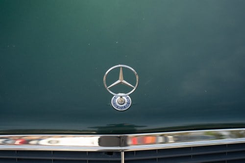 1998 Mercedes-Benz C43 4.3L V8 till salu (bild 79 av 134)