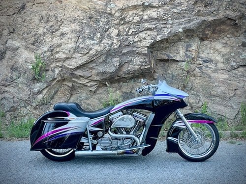 1996 Arlen Ness Luxury Liner