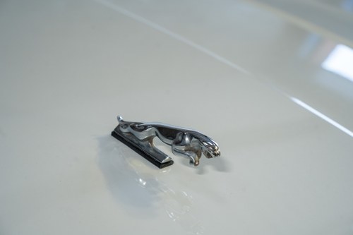 1990 Jaguar XJ-S V12 Convertible with KWE Work For Sale (picture 75 of 138)