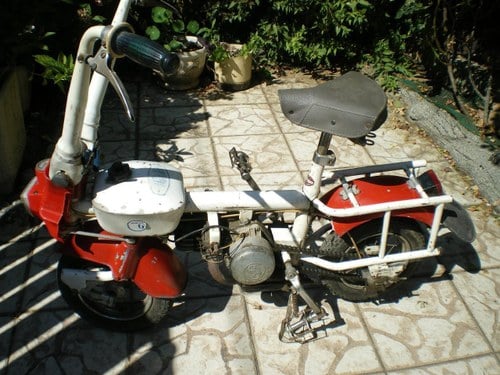 GRAZIELLA mini - 1959 Kaufen Bei