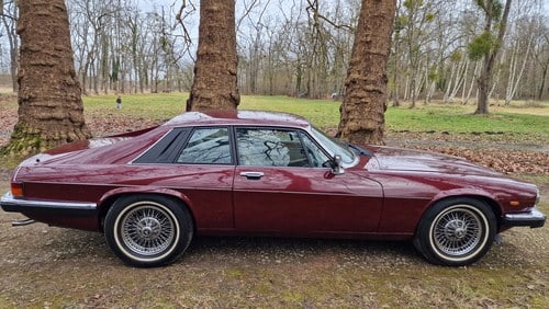 1990 Jaguar XJ-S 3.6 Coupe à vendre (picture 6 of 43)