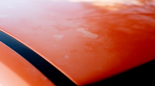 2006 Ford Focus Mk2 ST-2 Mountune 260 For Sale (picture 59 of 96)