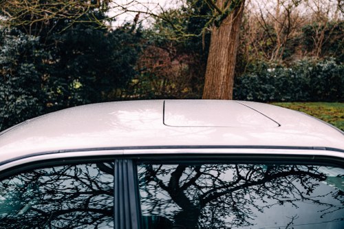 1984 BMW E24 635CSI En venta (imagen 85 de 116)