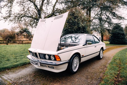 1984 BMW E24 635CSI En venta (imagen 102 de 116)