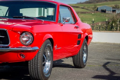 1967 Ford Mustang Notchback In vendita (immagine 3 di 101)