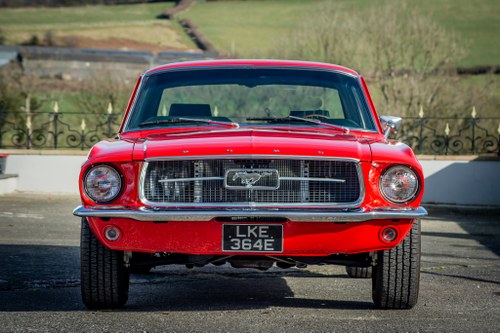 1967 Ford Mustang Notchback In vendita (immagine 4 di 101)