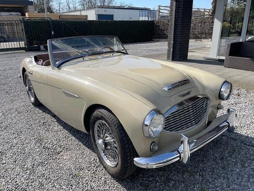AUSTIN HEALEY 3000 Mk1 2.9cc BT7 2+2 - 1960 Kaufen Bei