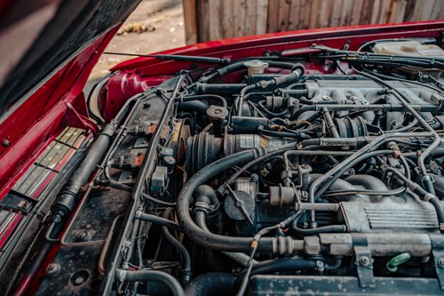 1989 Jaguar XJR-S 5.3 For Sale (picture 193 of 221)