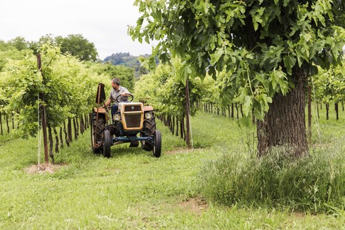 1971 Lamborghini R230 In vendita (immagine 10 di 104)