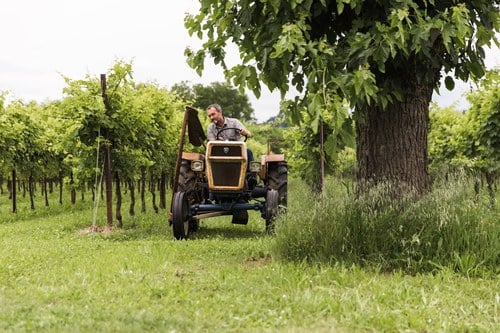 1971 Lamborghini R230 In vendita (immagine 13 di 104)