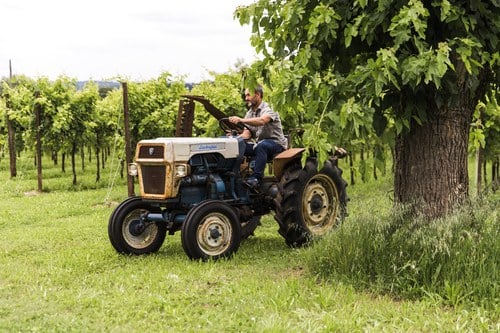 1971 Lamborghini R230 In vendita (immagine 14 di 104)