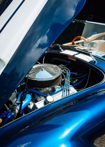 1998 Southern Roadcraft Cobra SRV8 427 5.7L In vendita (immagine 53 di 66)