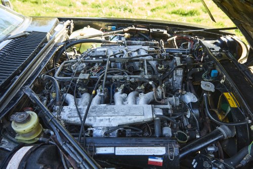 1985 Jaguar XJ-SC V12 HE Cabriolet In vendita (immagine 193 di 210)