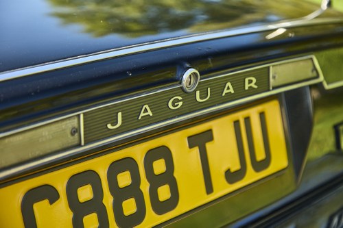 1985 Jaguar XJ-SC V12 HE Cabriolet In vendita (immagine 131 di 210)