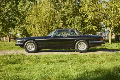 1985 Jaguar XJ-SC V12 HE Cabriolet In vendita (immagine 14 di 210)