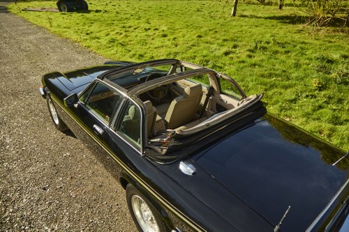1985 Jaguar XJ-SC V12 HE Cabriolet In vendita (immagine 180 di 210)